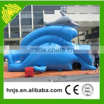 Amusement Ride Inflatable Slide Price photo-2
