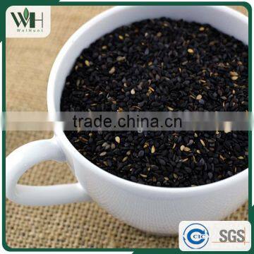 Paraguay Low Foreign Matter Sesame Varities photo-6