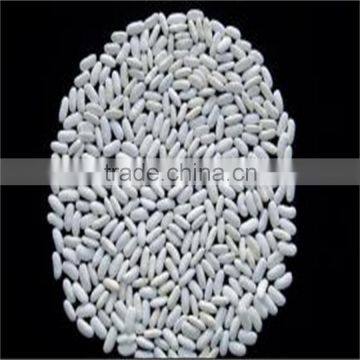 White Kidney Bean photo-3