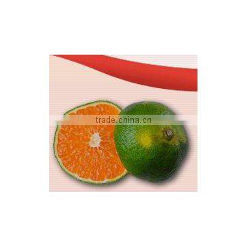Aseptic Dalandan Puree