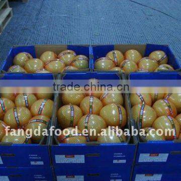 Top quality Fresh Honey pomelo