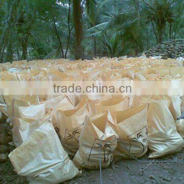 FRESH BIG SIZE MATURE COCONUT