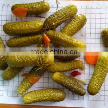 Best of Vietnamese Pickled Cucumbers, Pickled Gherkins in Glass Jars