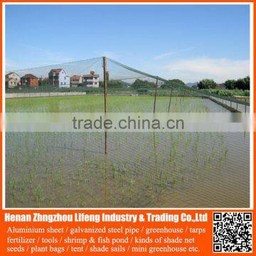 Garden Anti Bird Netting , 100% virgin hdpe netting fabric , plastic agricultural anti bird nets for catching birds