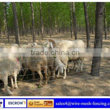 Goat Field fence /Cattle fence /Grassland wire mesh fence ( factory)