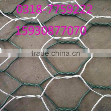 Hot sale galvanized and pvc coated chicken wire netting mesh