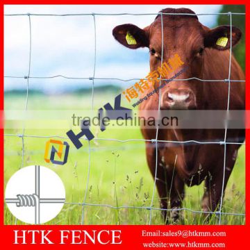 Direct Factory Sale Grassland Fence/Cattle Fence/Sheep Fence In China