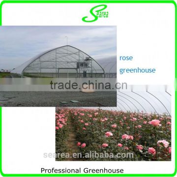 single span commercial used greenhouse for rose