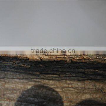 Brand Name High Quality Artificial Bark Tree Skin photo-6