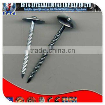 Africa roffing Screw nails