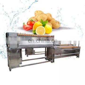 Vegetables Potato Peeler Industrial Commercial Carrot Peeler Brush Potato Cleaning Machine photo-6