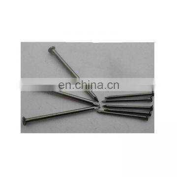 Chinese factory Polished nail Common nail Iron nail