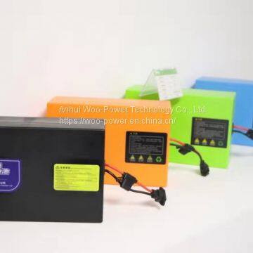 LiFePO4 48V20AH deep life cycle battery pack