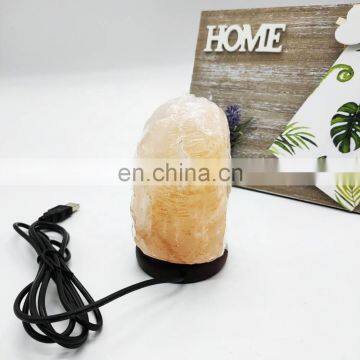 High Quality Fast Shipping Himalayan Rock Salt Lamp Night Light