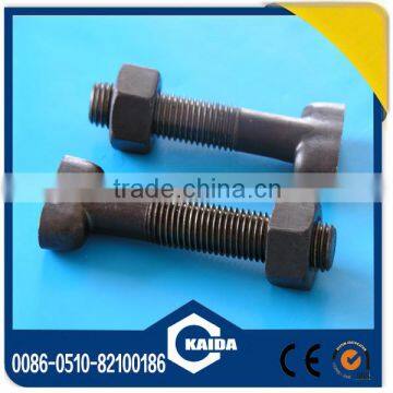 Carbon steel T bolt