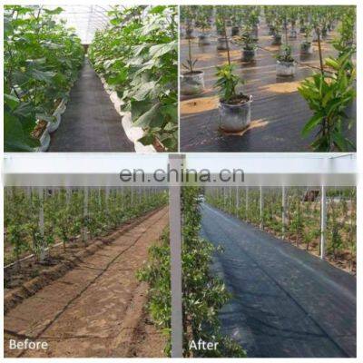 Anti Weed Mat 100% PP Woven Geotextile Weed Control Artificial Ground Cover For Blueberry photo-3
