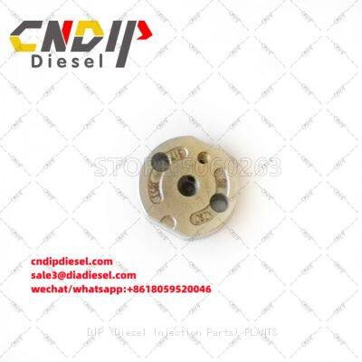 Diesel Common Rail Orifice Valve Plate 02 #