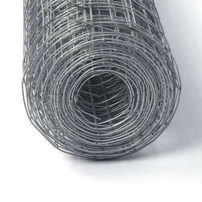 15m Length Per Roll Welded Meshelectric Welded Wire Meshgi Welded Wire Meshwelded Chicken Wire Meshwire Weld Mesh
