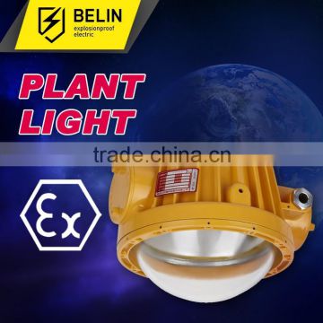 BAX81 explosion-proof light