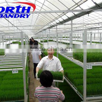 The Cheapest and Easily Installed Agricultural/ Commercial Green House