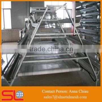 plastic slat floor / broiler farm battery cage / broiler chicken farm