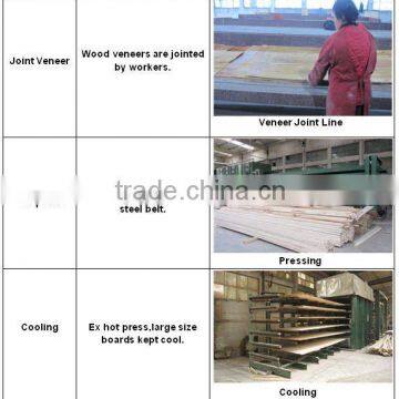 PINE LVL SCAFFOLD BOARD FOR U.A.E photo-5