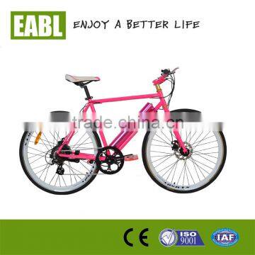 battery ebike/electric bicycle sport with CE and EN15194