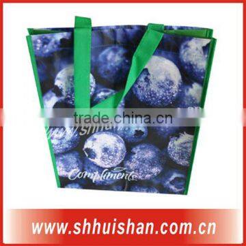PP Non Woven Gift Bags