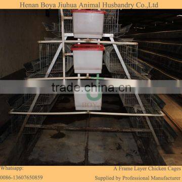Poultry Farm Automatic Drinking System Feeding System for 10000 Chickens
