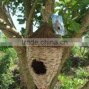 garden wood roof bird nest