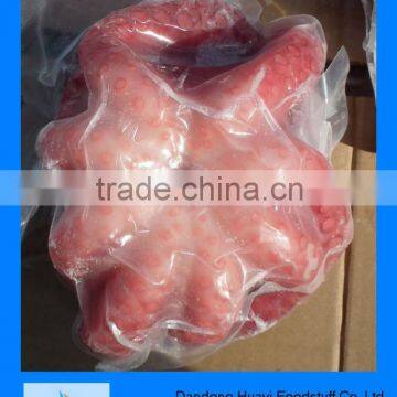 frozen octopus for sale