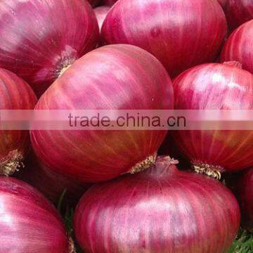 Market Price for Red Onion