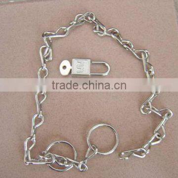 Chinli Factory Galvanized Weldless Single Jack Chain photo-3