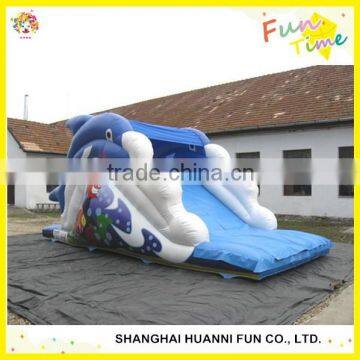 Water slide, inflatable PVC water slide,inflatable playground
