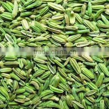 High Quality Cheap Exquisite Long Fennel seeds