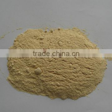 new crops dried yellow onion powder