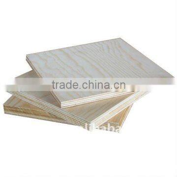 Birch Plywood high quality and low price