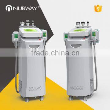 Lose Weight Factory Provide Hottest Criolipolisis Lipo Cryo Fat Freezing Local Fat Removal Machine 2 Handles Vacuum Cryolipolysis Fat Freeze Slimming