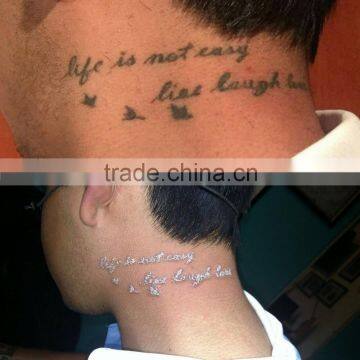 Professional Alexandrite Laser nd Yag Laser Tatoo Removal Laser With CE photo-5