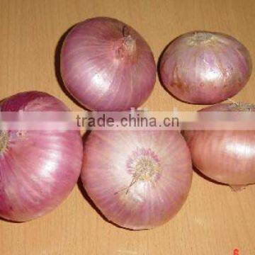 2015 Crop Fresh Red Onion for Sale With Cheap Price From China photo-3