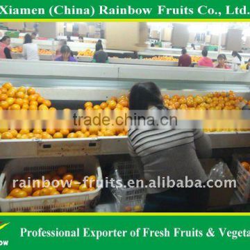 Chinese Fruits fresh orange