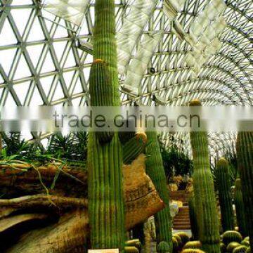 Carnegiea Gigantea Britton et Rose, Saguaro, Pot Plants, Bonsais