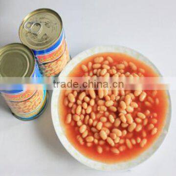 canned white kidney beans in tomato sauce manufacture price