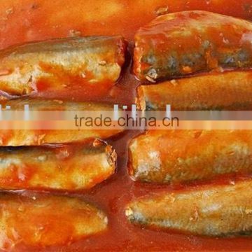 canned sardine in tomato sauce or in brine