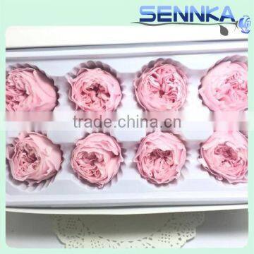 Import China Preserved Flowers Preserved Austin Rose Wholesale photo-2