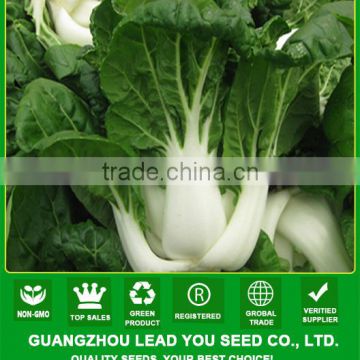 CC02 Lisan early maturity medium tall pakchoi seeds, Chinese cabbage seeds for planting, dark green leaf & pure white petiole, 2