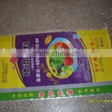 China Supplier Recycled Colorful Printing pp Woven Bag photo-6