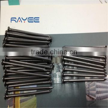 3" Common Nails from Manufacturer in China