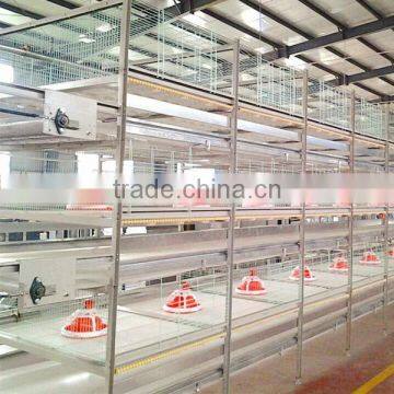 H Type Belt Battery Broiler Cage