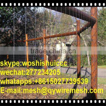 Good Quality Field Fence Cattle Fence photo-5